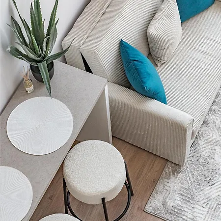 公寓 Loft G57 维尔纽斯