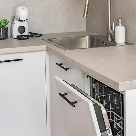 Loft G57 公寓 维尔纽斯